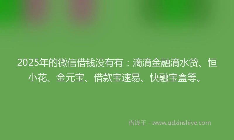 2025年的微信借钱没有有：滴滴金融滴水贷、恒小花、金元宝、借款宝速易、快融宝盒等。