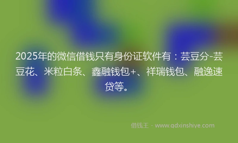 2025年的微信借钱只有身份证软件有：芸豆分-芸豆花、米粒白条、鑫融钱包+、祥瑞钱包、融逸速贷等。