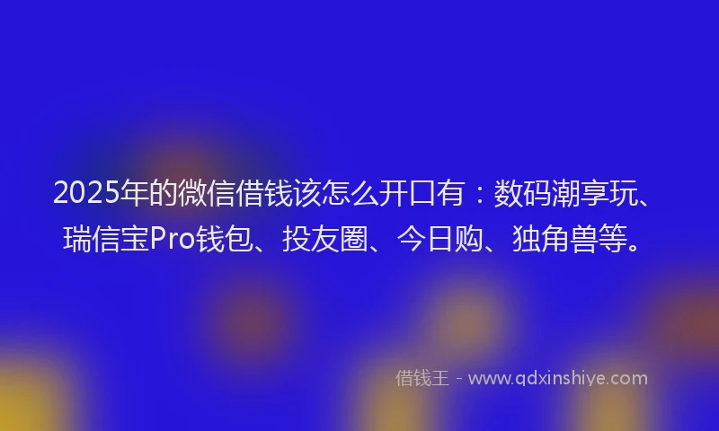 2025年的微信借钱该怎么开口有：数码潮享玩、瑞信宝Pro钱包、投友圈、今日购、独角兽等。