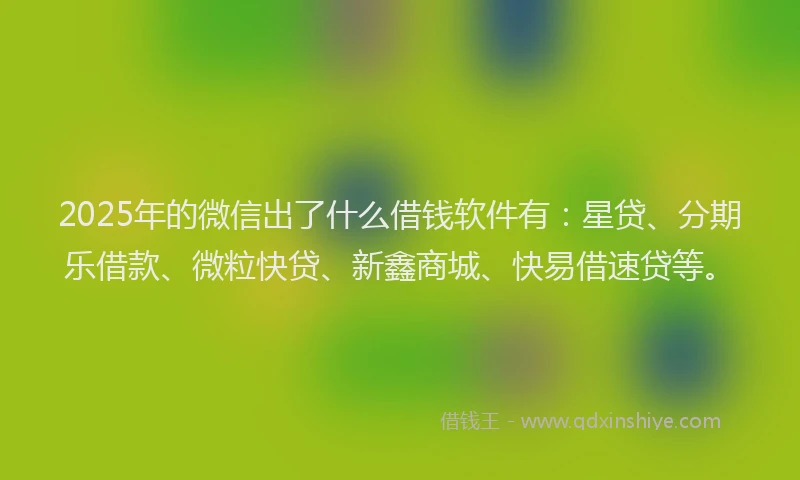 2025年的微信出了什么借钱软件有：星贷、分期乐借款、微粒快贷、新鑫商城、快易借速贷等。