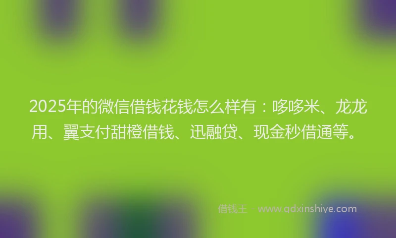2025年的微信借钱花钱怎么样有：哆哆米、龙龙用、翼支付甜橙借钱、迅融贷、现金秒借通等。