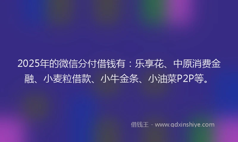 2025年的微信分付借钱有：乐享花、中原消费金融、小麦粒借款、小牛金条、小油菜P2P等。