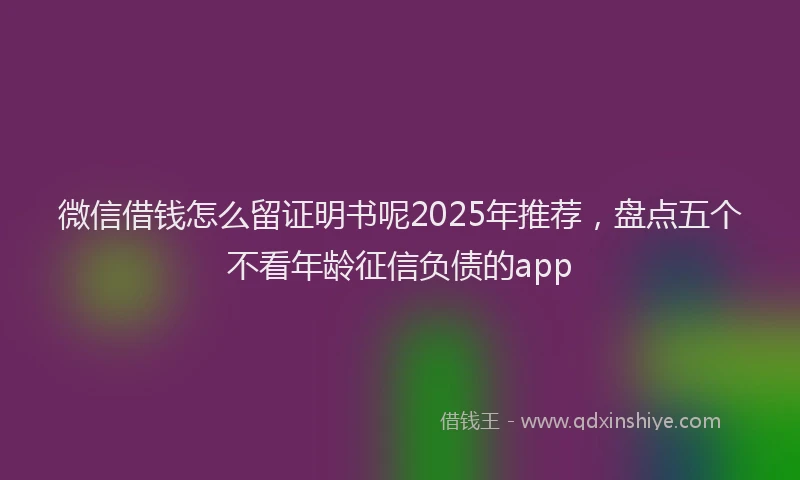 微信借钱怎么留证明书呢2025年推荐，盘点五个不看年龄征信负债的app