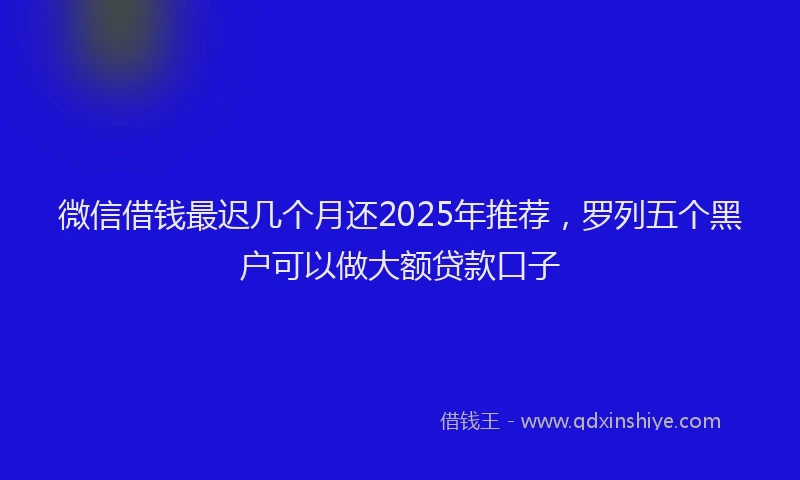 微信借钱最迟几个月还2025年推荐，罗列五个黑户可以做大额贷款口子