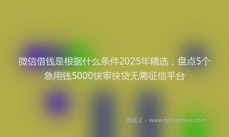 微信借钱是根据什么条件2025年精选，盘点5个急用钱5000快审快贷无需征信平台
