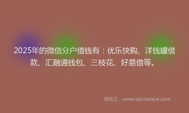 2025年的微信分户借钱有：优乐快购、洋钱罐借款、汇融通钱包、三枝花、好易借等。
