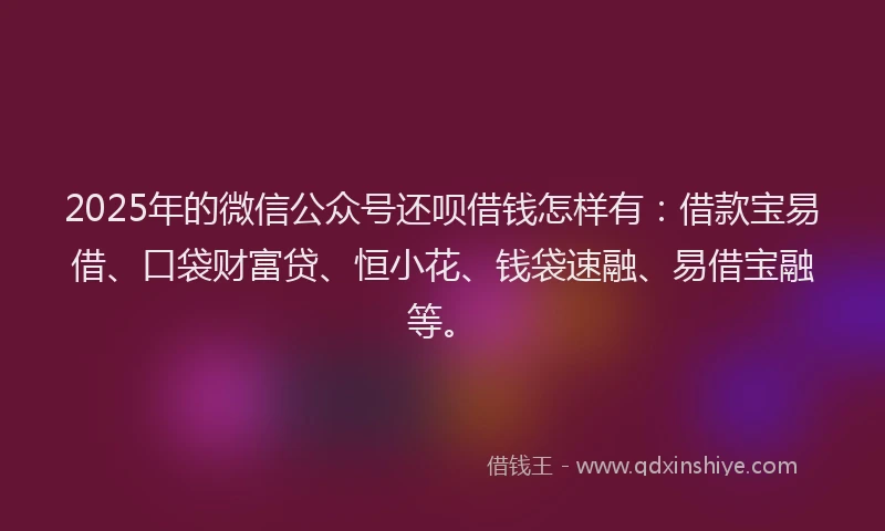 2025年的微信公众号还呗借钱怎样有：借款宝易借、口袋财富贷、恒小花、钱袋速融、易借宝融等。