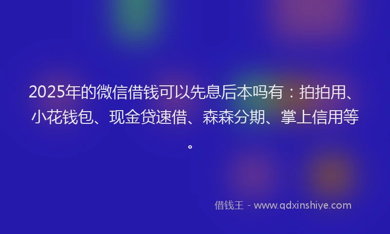 2025年的微信借钱可以先息后本吗有：拍拍用、小花钱包、现金贷速借、森森分期、掌上信用等。