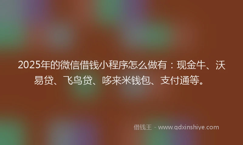 2025年的微信借钱小程序怎么做有：现金牛、沃易贷、飞鸟贷、哆来米钱包、支付通等。