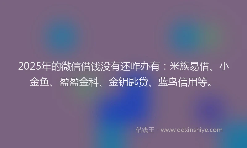 2025年的微信借钱没有还咋办有：米族易借、小金鱼、盈盈金科、金钥匙贷、蓝鸟信用等。