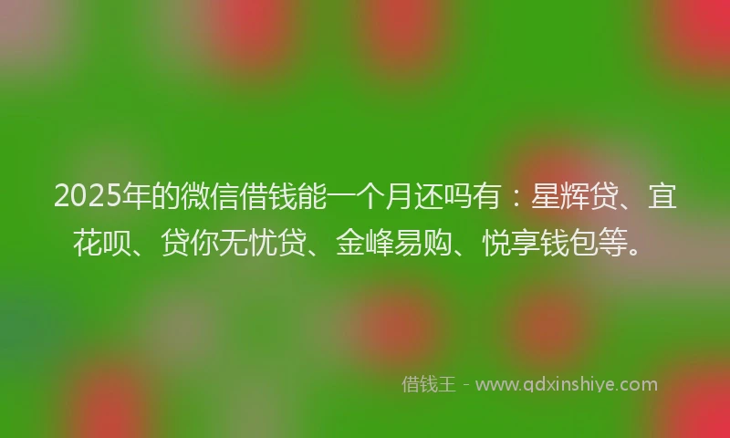 2025年的微信借钱能一个月还吗有：星辉贷、宜花呗、贷你无忧贷、金峰易购、悦享钱包等。