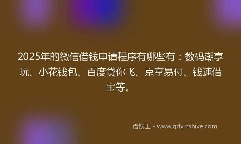 2025年的微信借钱申请程序有哪些有：数码潮享玩、小花钱包、百度贷你飞、京享易付、钱速借宝等。