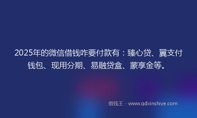2025年的微信借钱咋要付款有：臻心贷、翼支付钱包、现用分期、易融贷盒、蒙享金等。
