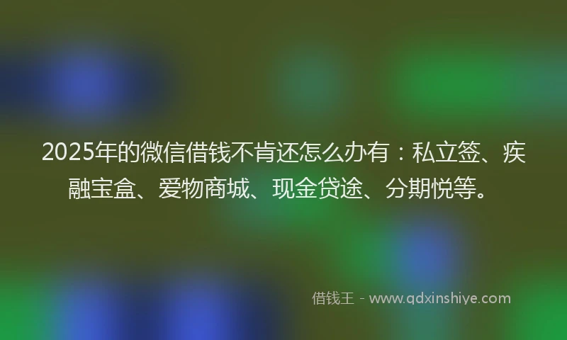 2025年的微信借钱不肯还怎么办有：私立签、疾融宝盒、爱物商城、现金贷途、分期悦等。