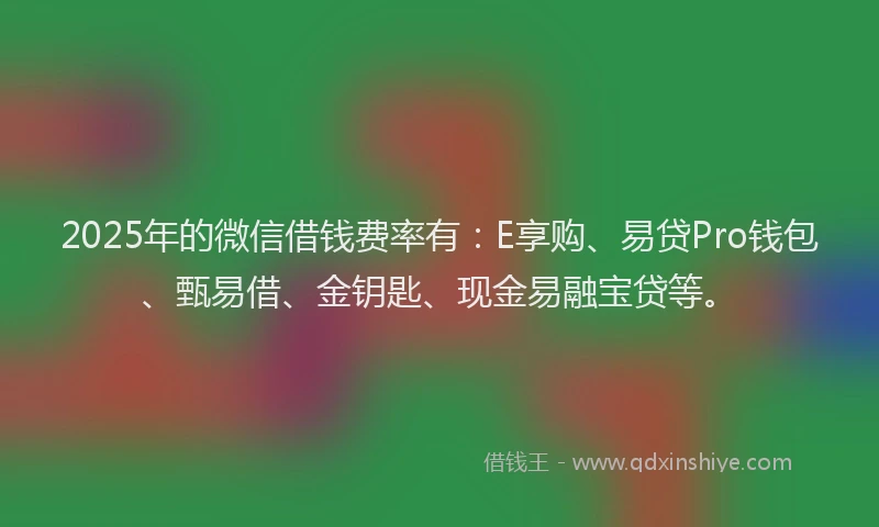 2025年的微信借钱费率有：E享购、易贷Pro钱包、甄易借、金钥匙、现金易融宝贷等。