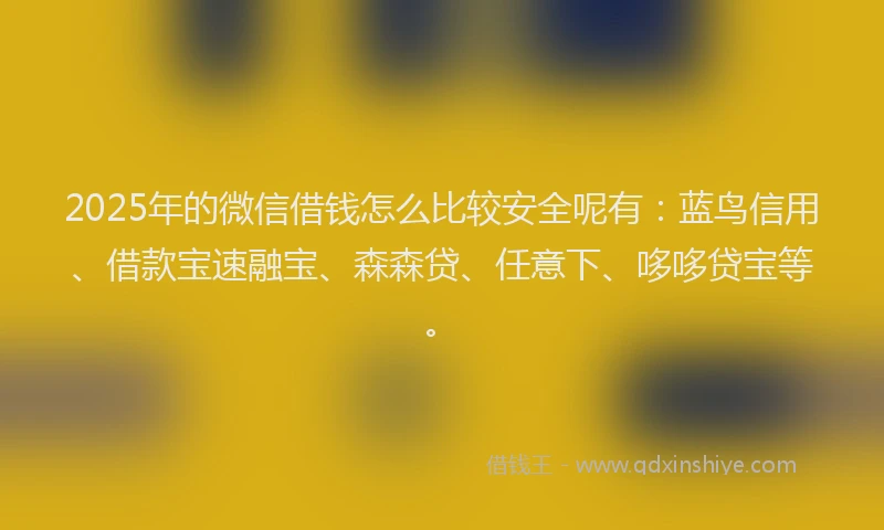 2025年的微信借钱怎么比较安全呢有：蓝鸟信用、借款宝速融宝、森森贷、任意下、哆哆贷宝等。