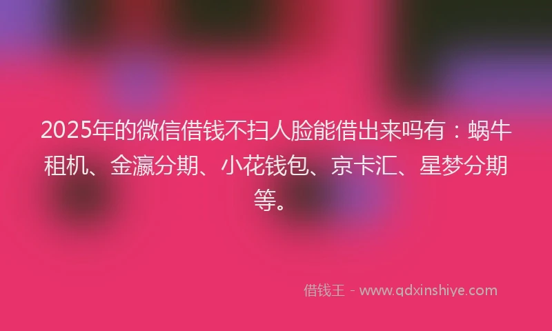 2025年的微信借钱不扫人脸能借出来吗有：蜗牛租机、金瀛分期、小花钱包、京卡汇、星梦分期等。