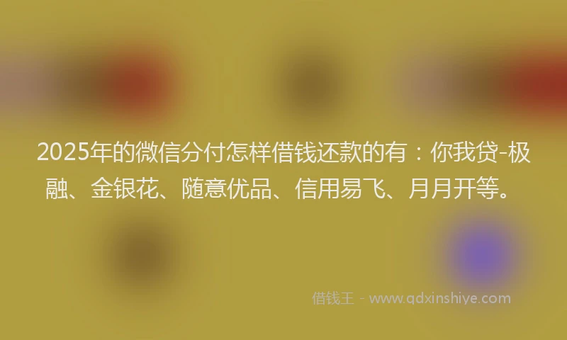 2025年的微信分付怎样借钱还款的有：你我贷-极融、金银花、随意优品、信用易飞、月月开等。