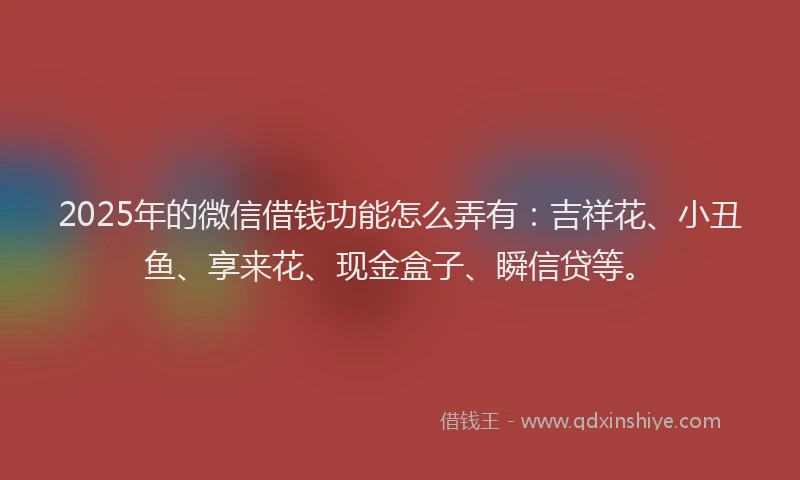 2025年的微信借钱功能怎么弄有：吉祥花、小丑鱼、享来花、现金盒子、瞬信贷等。
