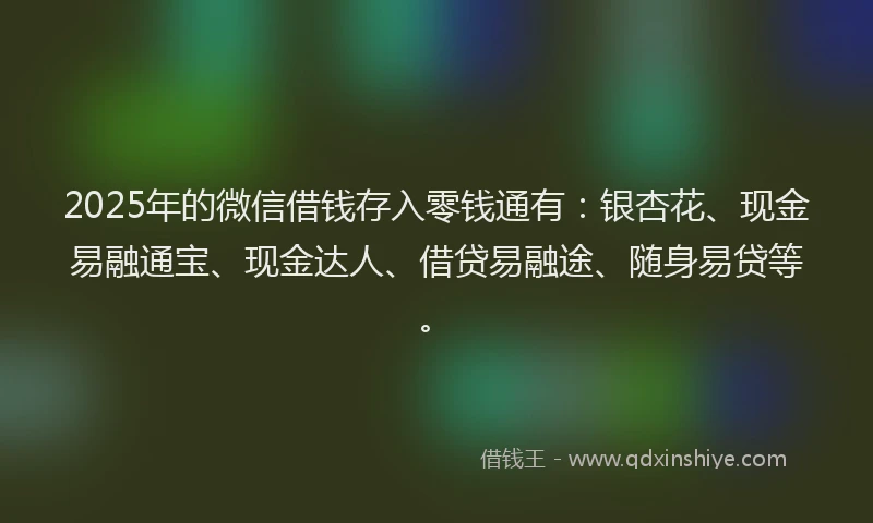 2025年的微信借钱存入零钱通有：银杏花、现金易融通宝、现金达人、借贷易融途、随身易贷等。