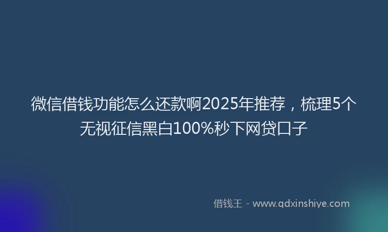 微信借钱功能怎么还款啊2025年推荐，梳理5个无视征信黑白100%秒下网贷口子