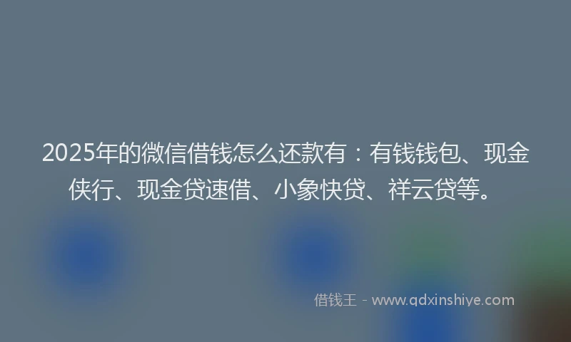 2025年的微信借钱怎么还款有：有钱钱包、现金侠行、现金贷速借、小象快贷、祥云贷等。