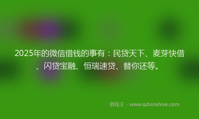 2025年的微信借钱的事有：民贷天下、麦芽快借、闪贷宝融、恒瑞速贷、替你还等。
