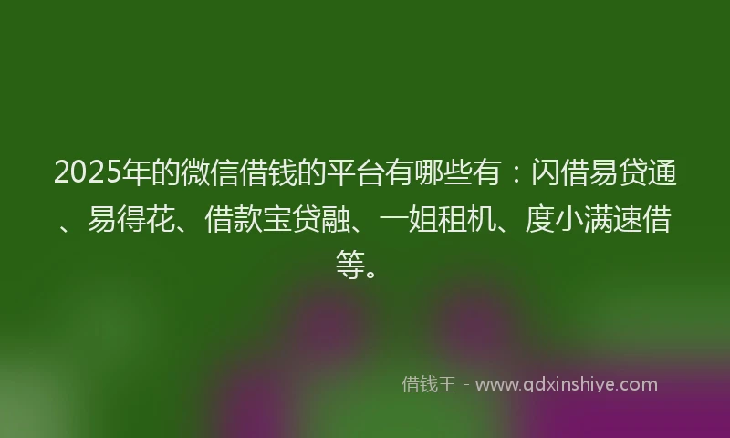 2025年的微信借钱的平台有哪些有：闪借易贷通、易得花、借款宝贷融、一姐租机、度小满速借等。