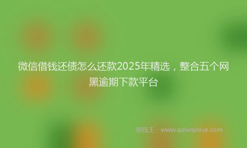 微信借钱还债怎么还款2025年精选，整合五个网黑逾期下款平台