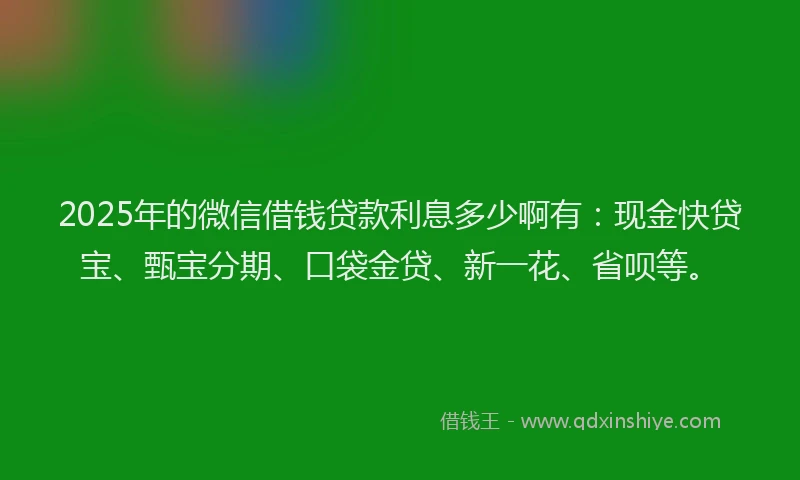 2025年的微信借钱贷款利息多少啊有：现金快贷宝、甄宝分期、口袋金贷、新一花、省呗等。