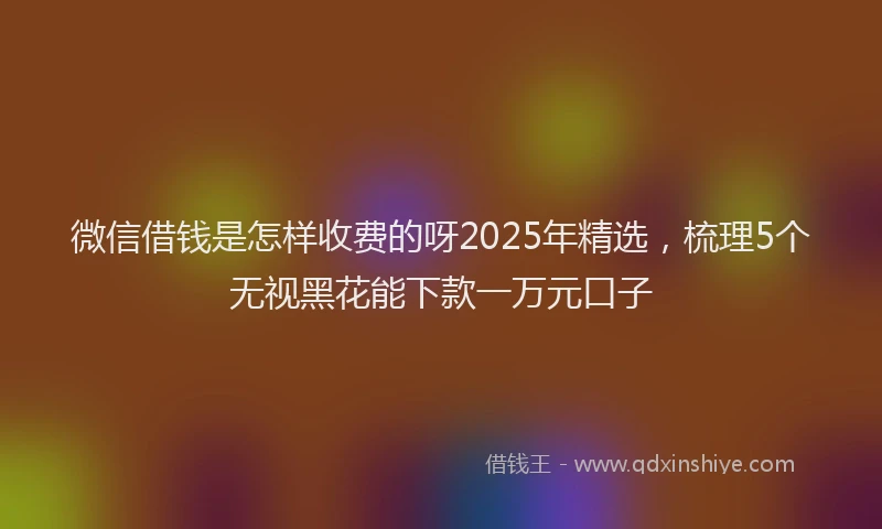 微信借钱是怎样收费的呀2025年精选，梳理5个无视黑花能下款一万元口子