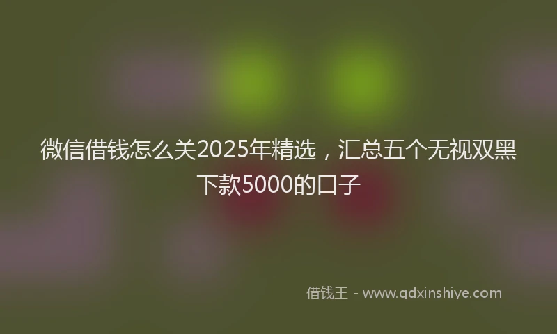 微信借钱怎么关2025年精选，汇总五个无视双黑下款5000的口子