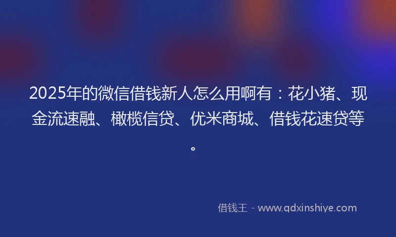 2025年的微信借钱新人怎么用啊有：花小猪、现金流速融、橄榄信贷、优米商城、借钱花速贷等。