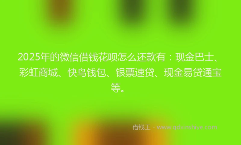 2025年的微信借钱花呗怎么还款有：现金巴士、彩虹商城、快鸟钱包、银票速贷、现金易贷通宝等。