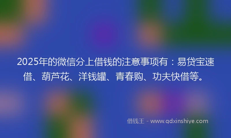 2025年的微信分上借钱的注意事项有：易贷宝速借、葫芦花、洋钱罐、青春购、功夫快借等。
