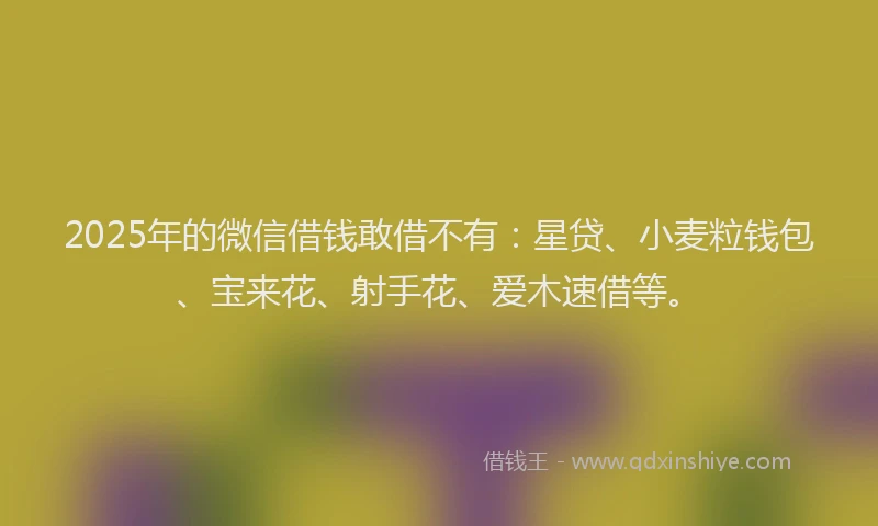 2025年的微信借钱敢借不有：星贷、小麦粒钱包、宝来花、射手花、爱木速借等。
