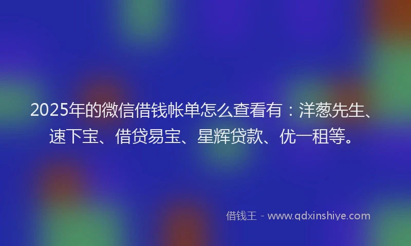 2025年的微信借钱帐单怎么查看有：洋葱先生、速下宝、借贷易宝、星辉贷款、优一租等。