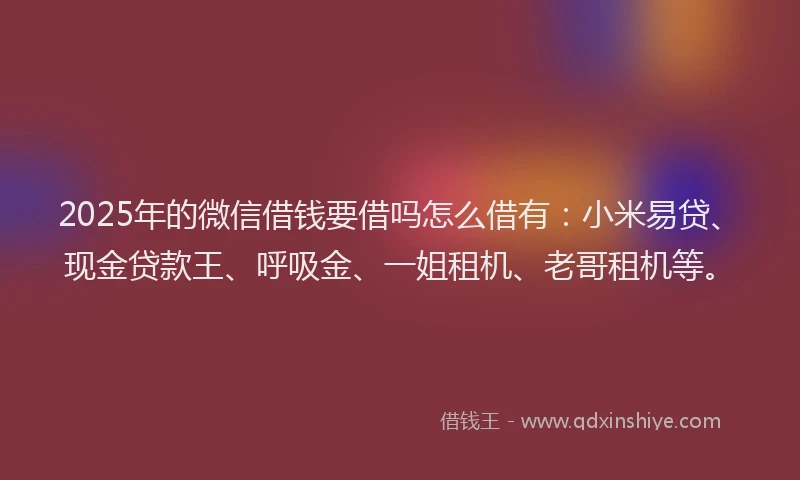 2025年的微信借钱要借吗怎么借有：小米易贷、现金贷款王、呼吸金、一姐租机、老哥租机等。