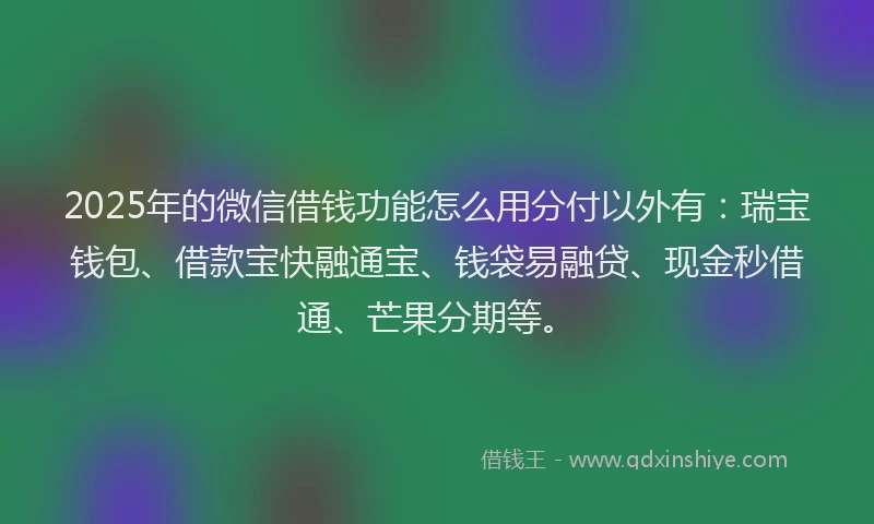 2025年的微信借钱功能怎么用分付以外有：瑞宝钱包、借款宝快融通宝、钱袋易融贷、现金秒借通、芒果分期等。