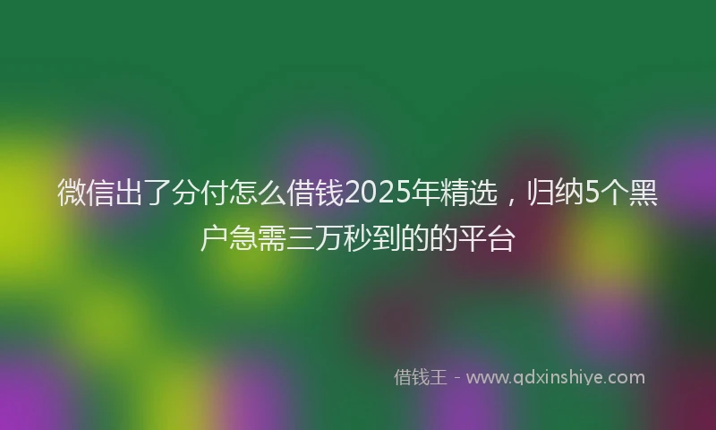 微信出了分付怎么借钱2025年精选，归纳5个黑户急需三万秒到的的平台