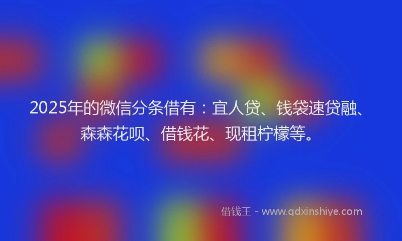 2025年的微信分条借有：宜人贷、钱袋速贷融、森森花呗、借钱花、现租柠檬等。