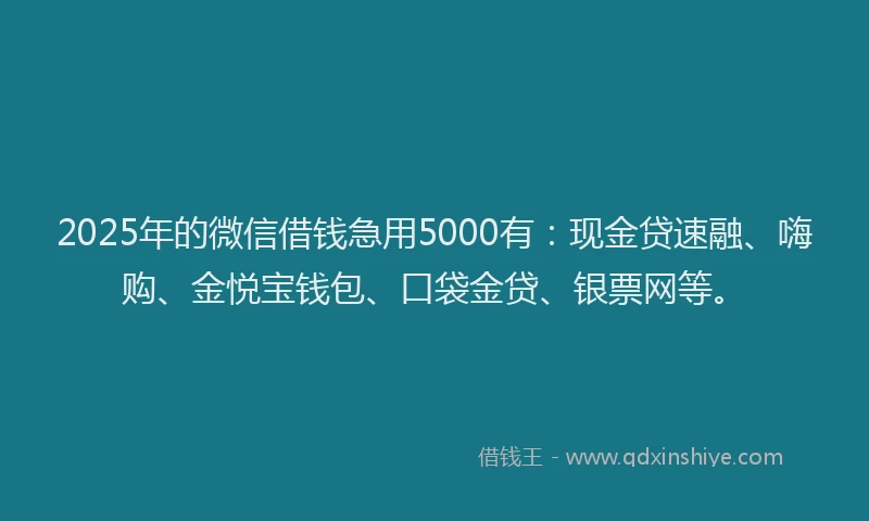 2025年的微信借钱急用5000有：现金贷速融、嗨购、金悦宝钱包、口袋金贷、银票网等。