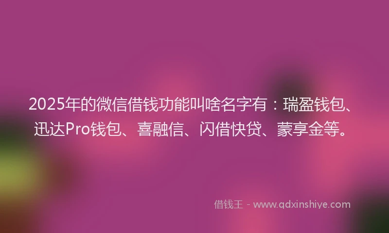 2025年的微信借钱功能叫啥名字有：瑞盈钱包、迅达Pro钱包、喜融信、闪借快贷、蒙享金等。