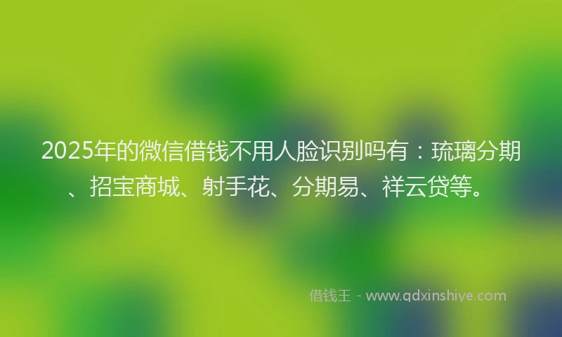 2025年的微信借钱不用人脸识别吗有：琉璃分期、招宝商城、射手花、分期易、祥云贷等。