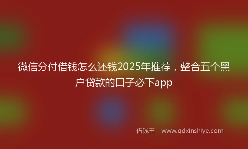 微信分付借钱怎么还钱2025年推荐，整合五个黑户贷款的口子必下app