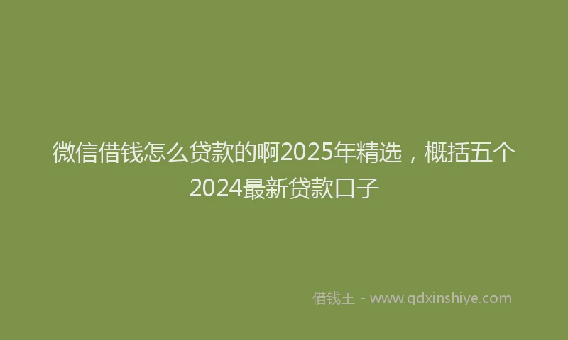 微信借钱怎么贷款的啊2025年精选，概括五个2024最新贷款口子