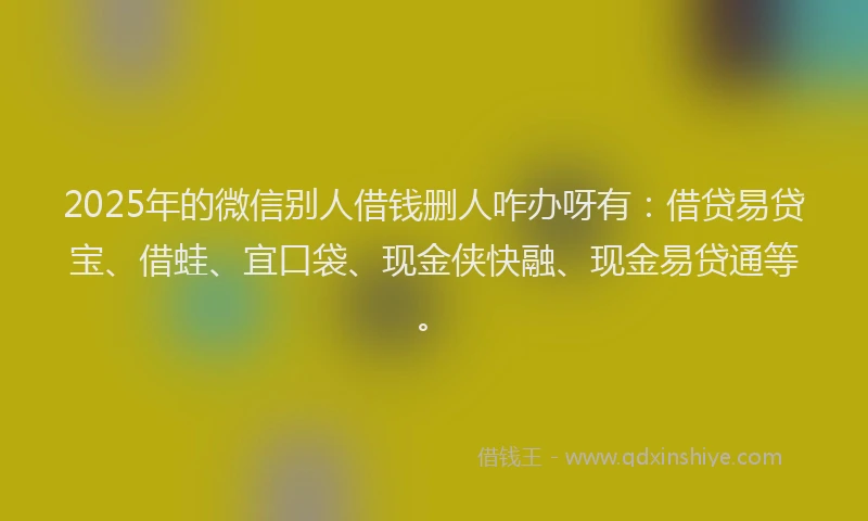 2025年的微信别人借钱删人咋办呀有：借贷易贷宝、借蛙、宜口袋、现金侠快融、现金易贷通等。