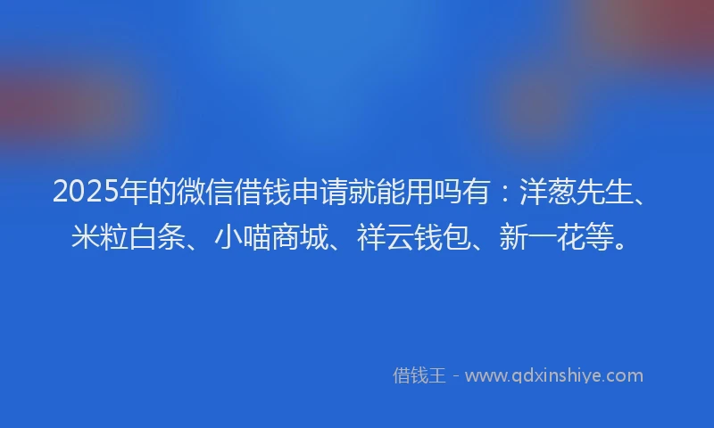 2025年的微信借钱申请就能用吗有：洋葱先生、米粒白条、小喵商城、祥云钱包、新一花等。