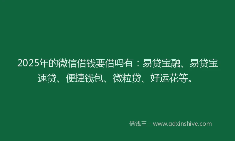 2025年的微信借钱要借吗有：易贷宝融、易贷宝速贷、便捷钱包、微粒贷、好运花等。