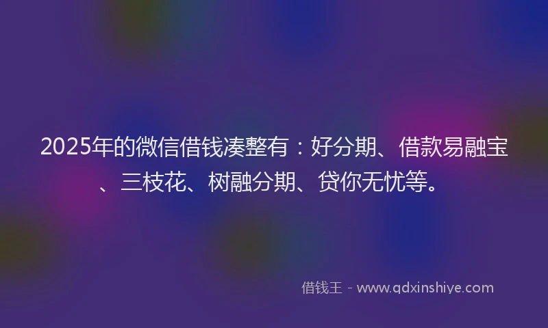 2025年的微信借钱凑整有：好分期、借款易融宝、三枝花、树融分期、贷你无忧等。